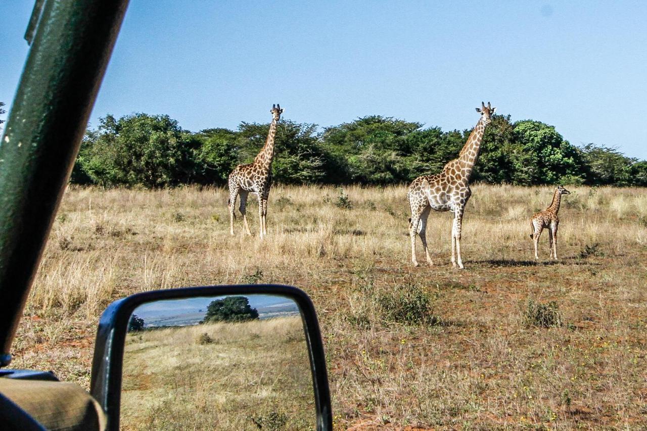 Ezulwini Game Lodge Hluhluwe Exterior photo